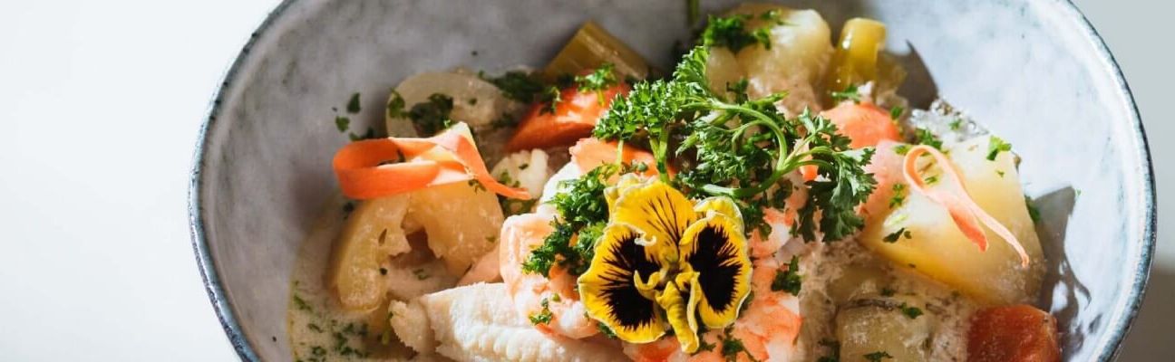 Bannière YO PASSION